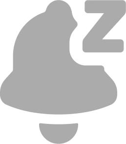 silent_discord_official2024 emote