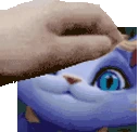 PETTHEYUUMI emote