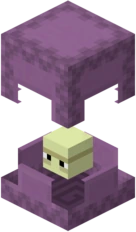 shulker emote