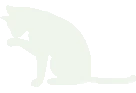 Whitekitten emote