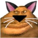 KOTUMBA emote