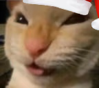 Nyehehehe emote