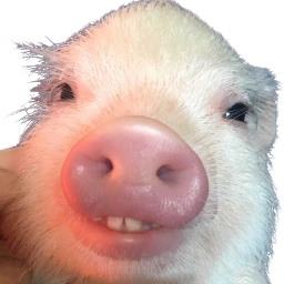 da_pig emote