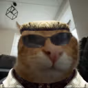 AlbuhrtWhisker emote