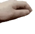 PETPET emote