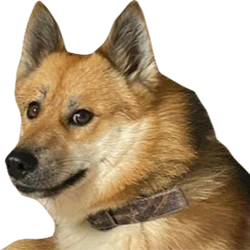 doge2 emote