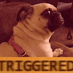 pugtriggered emote