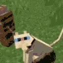 catjam emote