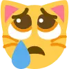 Sad_Cat emote