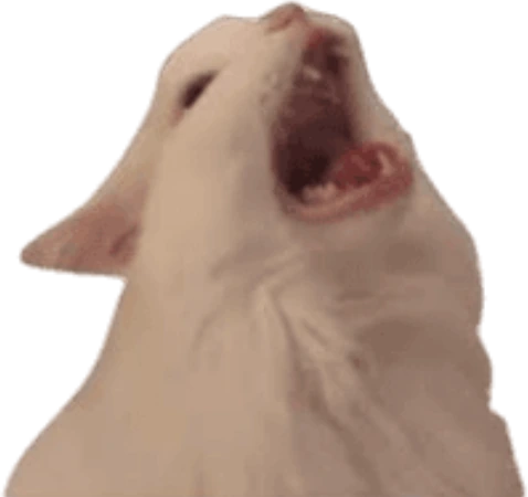 Screaming_Cat emote