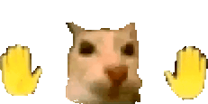 laralara animated emote