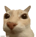 otagging emote