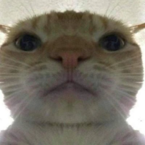 jacb1x avatar