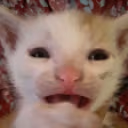 BUAAA emote