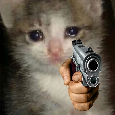 cat_gun emote