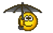 rain emote