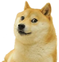 Doge emote
