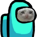 amongus_kitty emote
