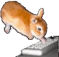 BunChatting emote