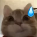 ermge emote