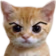 cat_sus emote