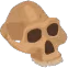 Fossil_Skull emote