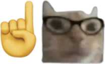 catnerd emoji