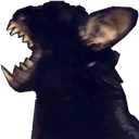 theyawncat emote