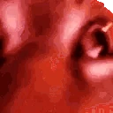 HyperInsaneCat emote