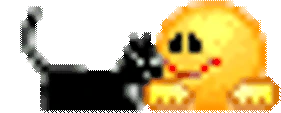 kotek emote