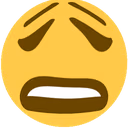 WHYYYYYYYYY emote