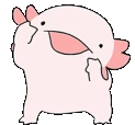 AXOLOTL emote