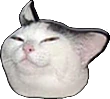CatSmug emote