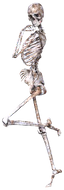sassy_skeleton emote