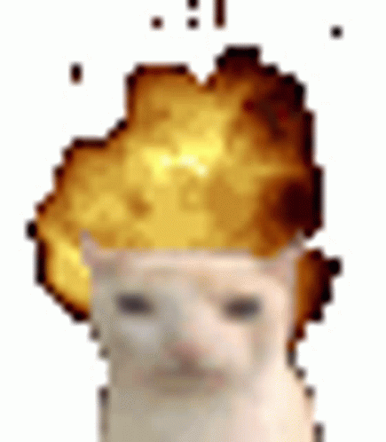 CatMindBlown animated emote