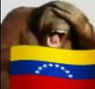 Venezuela emote