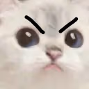 Angy emote