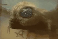 MothraJam emote