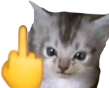 Toma emote