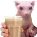 BingusChocoMilk emoji