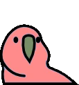 levitationParrot emote