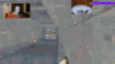 EntireMutySpeedrun animated emote