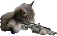catSniper emote