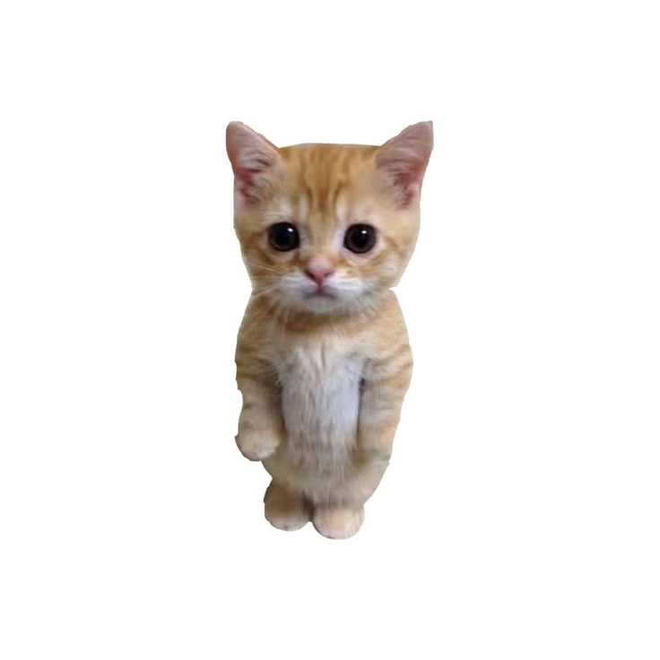 19 emote