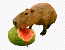 watermelon emote