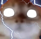 NOW emote