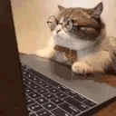INVESTED emote