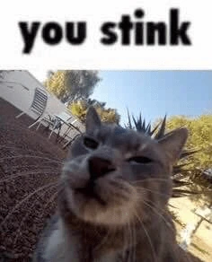 stinkey emote