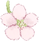CherryBlossom emoji