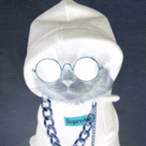 perezoso2pr avatar